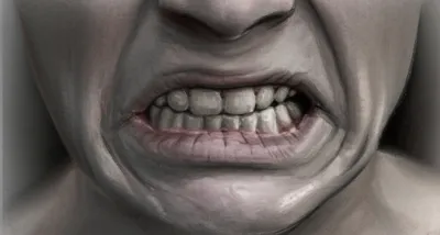 Illustration gnash - Image 1