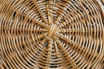 Illustration canes - Image 1