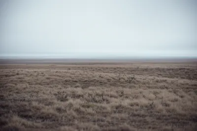 Illustration steppe - Image 1