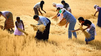 Illustration glean - Image 1