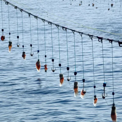 Illustration bolter - Image 1