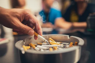 Illustration snubbed - Image 1