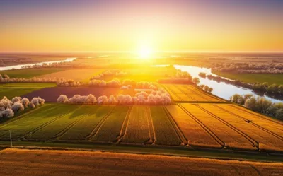 Illustration empress - Image 1