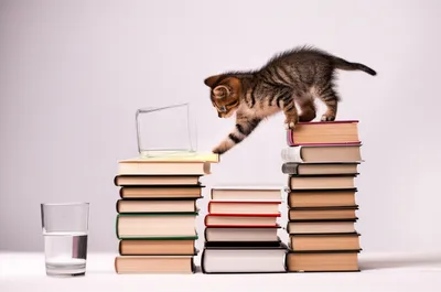 Illustration mischievous - Image 1