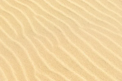 Illustration silica - Image 2