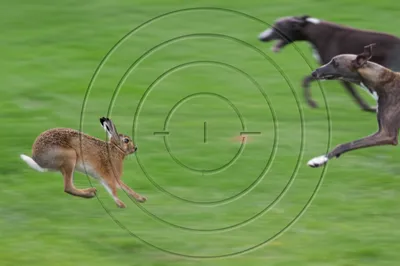 Illustration wrenches - Image 1