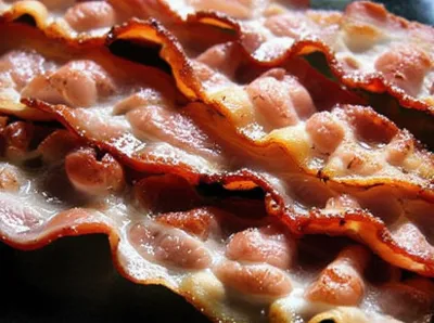 Illustration shag - Image 1