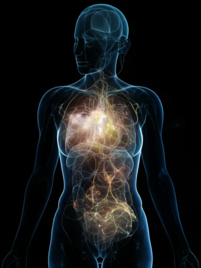 Illustration inward - Image 1