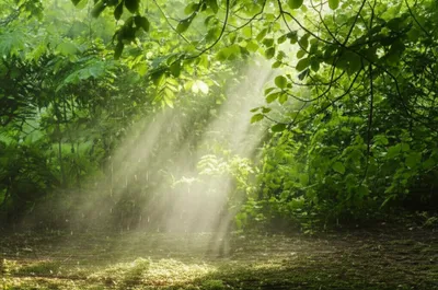 Illustration vapoured - Image 1