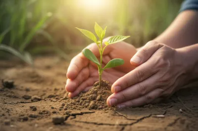 Illustration forcing - Image 1