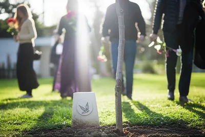 Illustration commemorated - Image 1