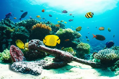 Illustration seawater - Image 1