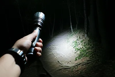 Illustration shined - Image 1