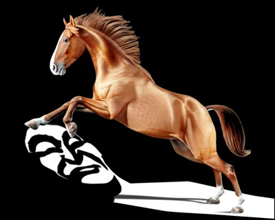 Illustration skewing - Image 1