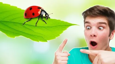 Illustration spot - Image 1