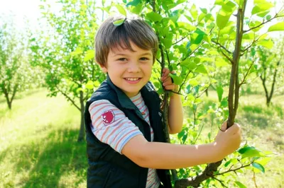 Illustration sprig - Image 1