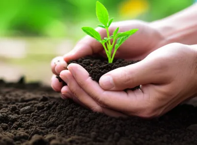 Illustration humanely