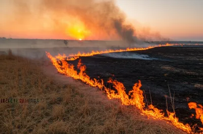 Illustration lows - Image 1