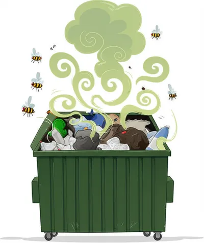 Illustration foetid - Image 1