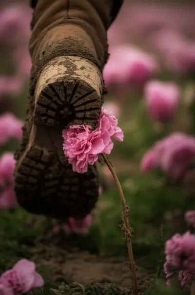 Illustration trod - Image 1