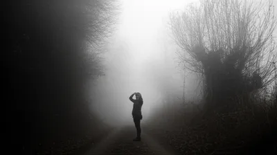 Illustration halted - Image 1