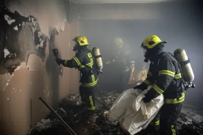 Illustration overhaul - Image 1