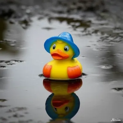 Illustration humorous - Image 1