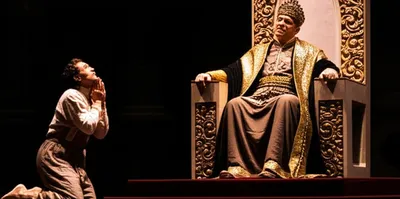 Illustration pleads - Image 1