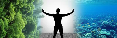 Illustration separators - Image 1