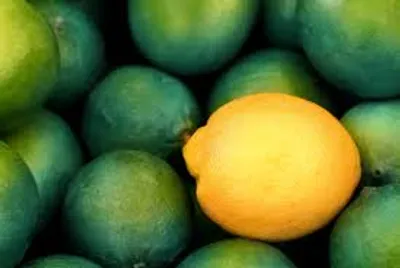 Illustration foil - Image 2