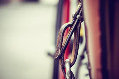 Illustration lugs - Image 1