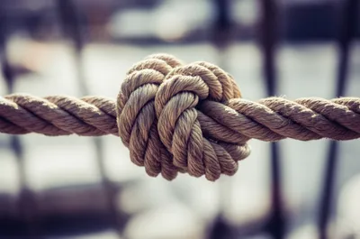 Hình ảnh minh họa walling - Ảnh 1