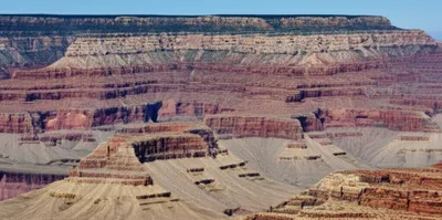 Illustration lays - Image 1