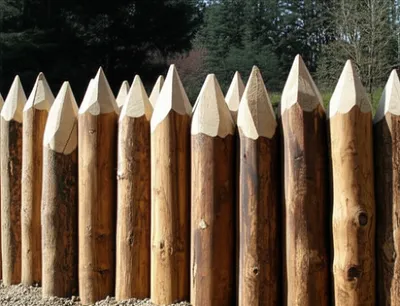 Illustration palisade - Image 1