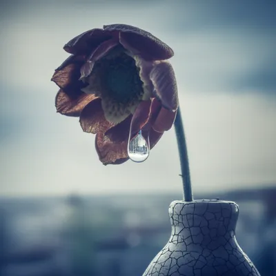 Illustration disillusioned - Image 1