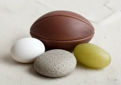 Illustration ovoid - Image 1