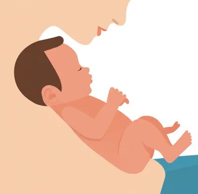 Illustration kangaroo - Image 1