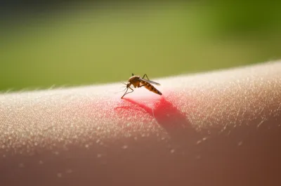 Illustration bites - Image 1