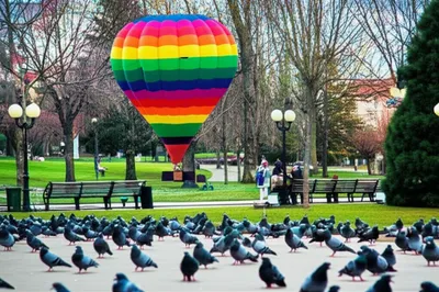 Illustration singular - Image 1