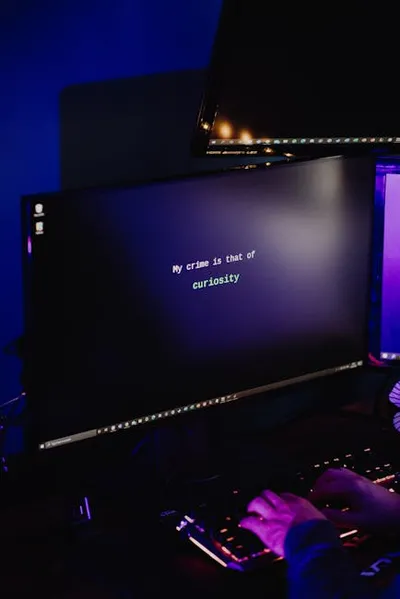 Illustration steals - Image 2