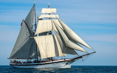 Illustration largest - Image 1