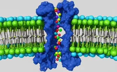 Illustration gates - Image 1