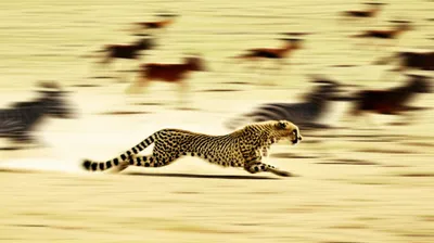 Illustration outdistancing