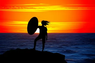 Illustration lionheart