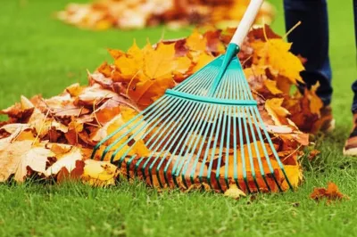 Illustration raking - Image 1