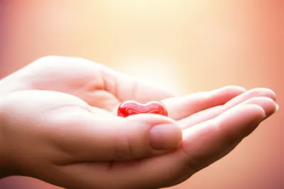 Illustration pet - Image 1