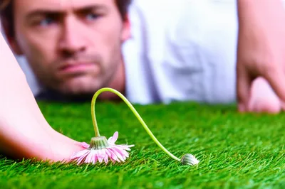 Illustration offences - Image 1