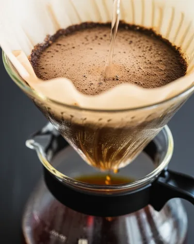 Illustration leaches - Image 1