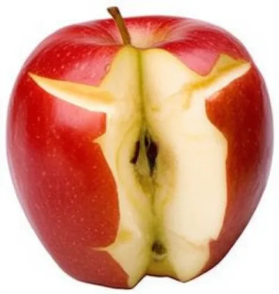 Illustration lacerated - Image 1