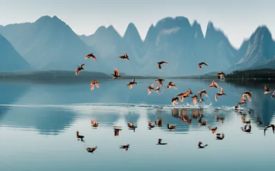 Illustration differences - Image 1